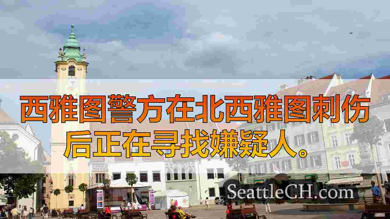 西雅图新闻 SeattleCH