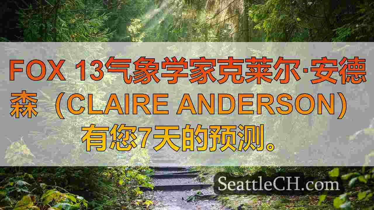 西雅图新闻 SeattleCH
