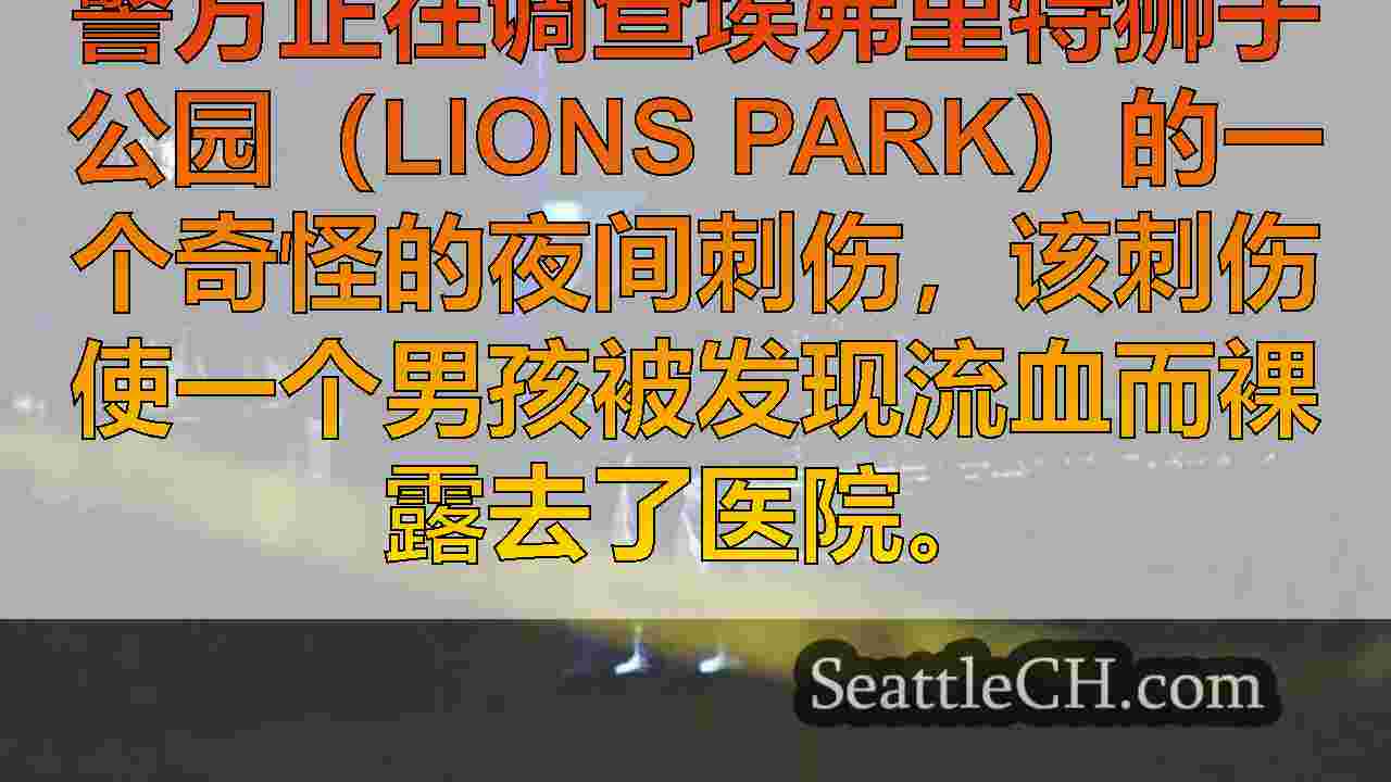 西雅图新闻 SeattleCH