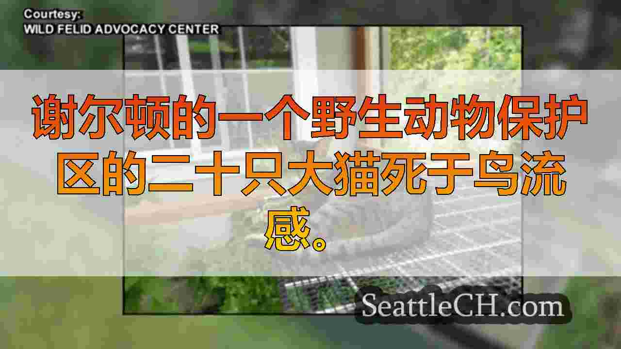 西雅图新闻 SeattleCH