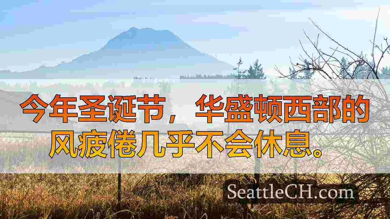 西雅图新闻 SeattleCH