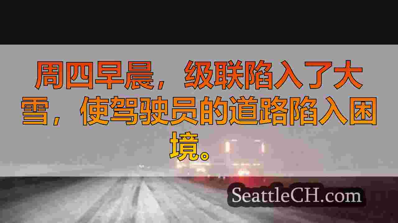 西雅图新闻 SeattleCH