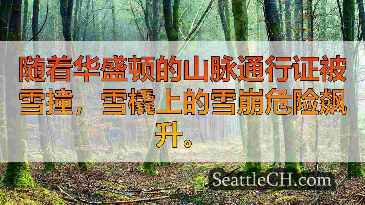西雅图新闻 SeattleCH