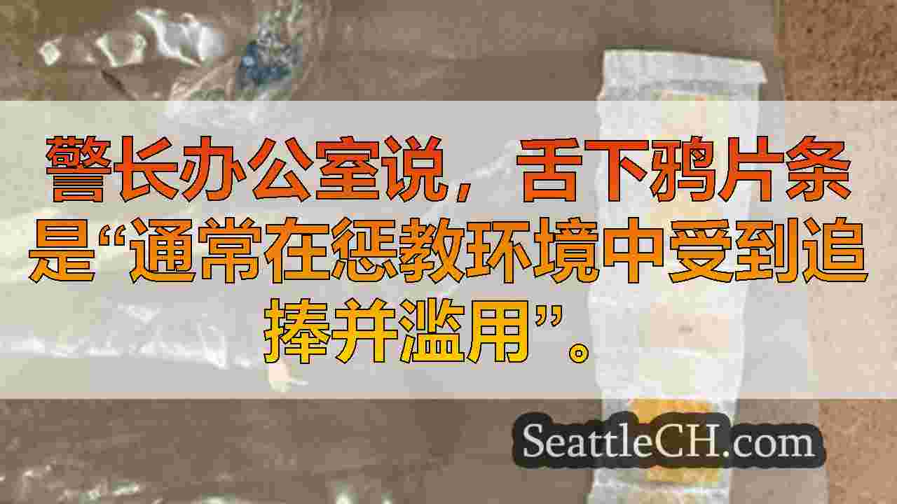 西雅图新闻 SeattleCH