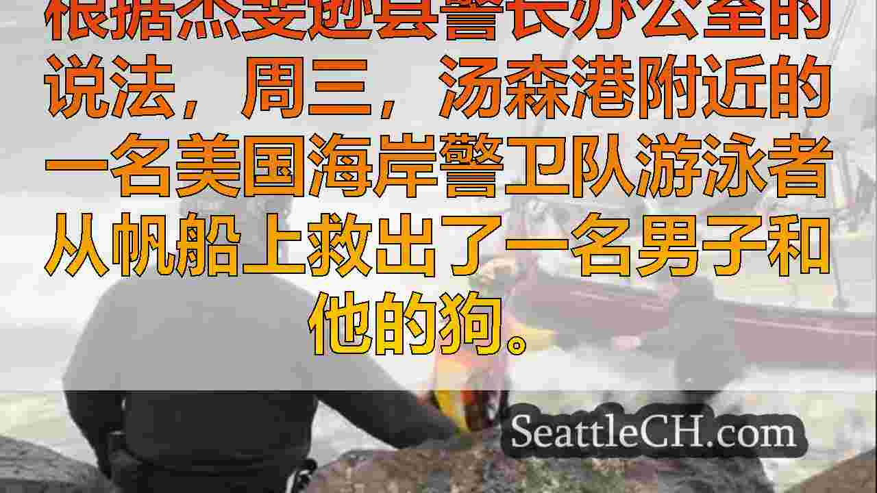 帆船在汤森港附近搁浅后，救出的人和狗