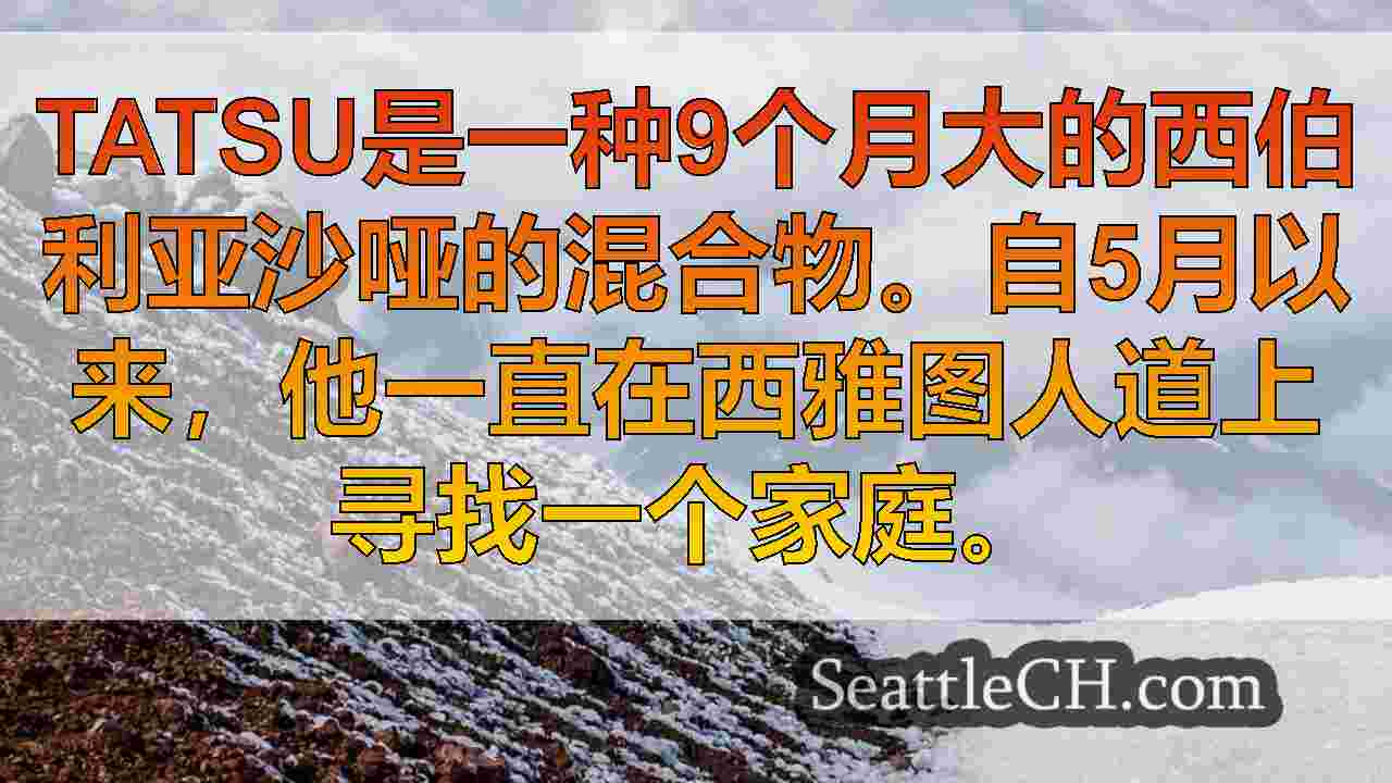 西雅图新闻 SeattleCH