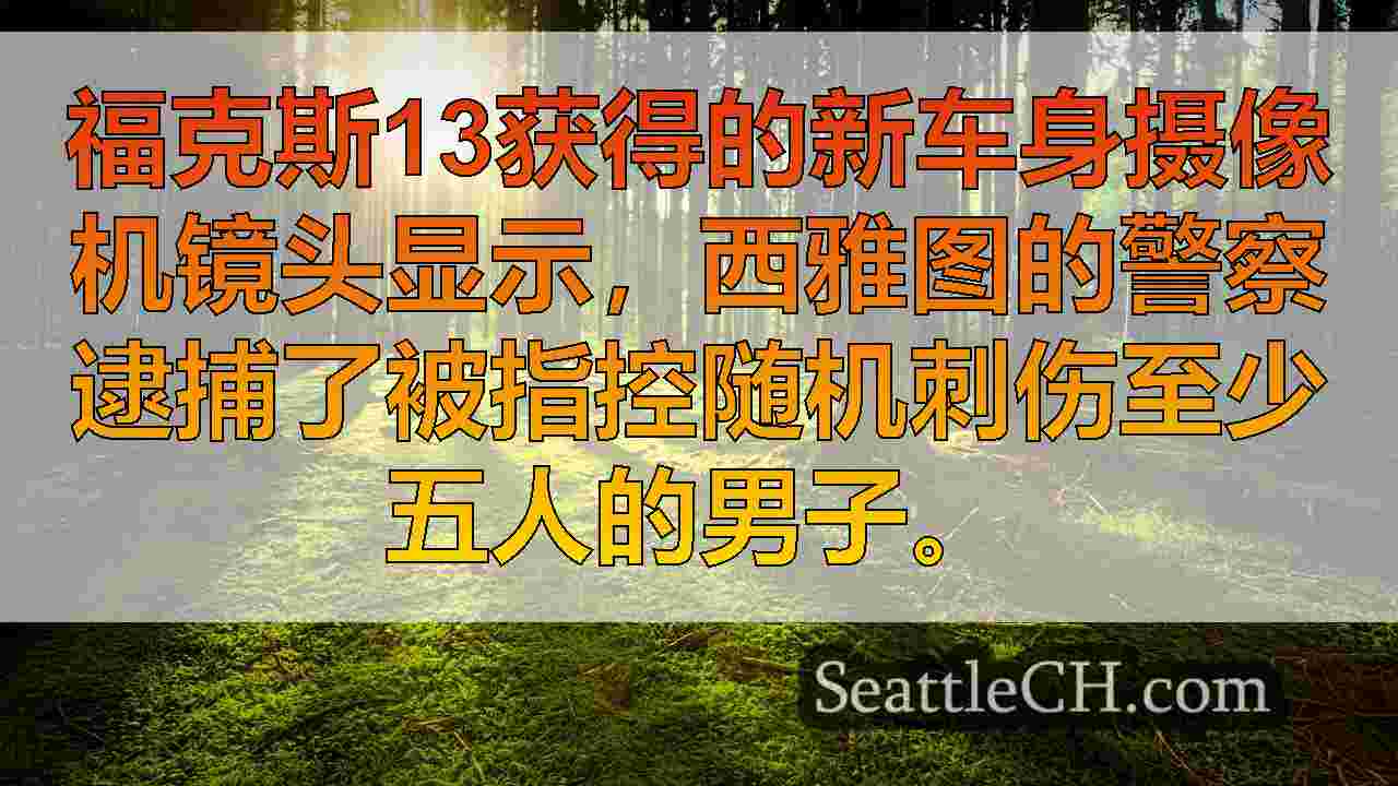 西雅图新闻 SeattleCH