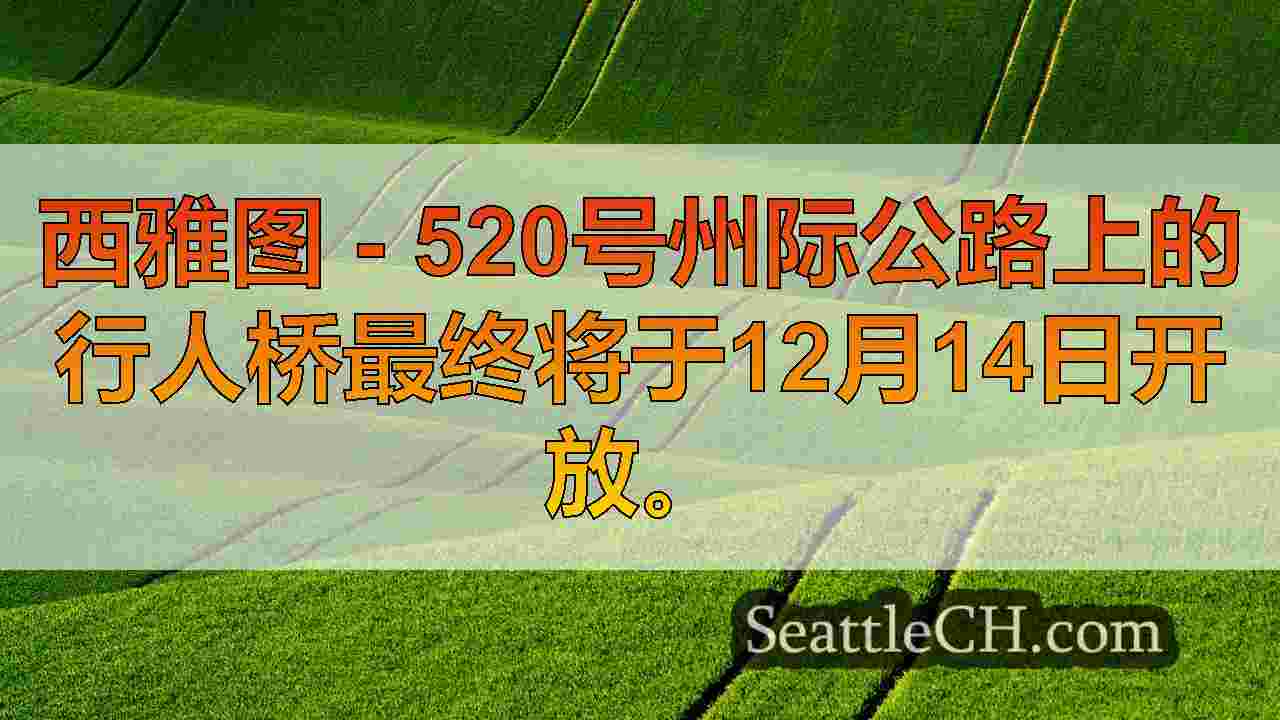 西雅图新闻 SeattleCH