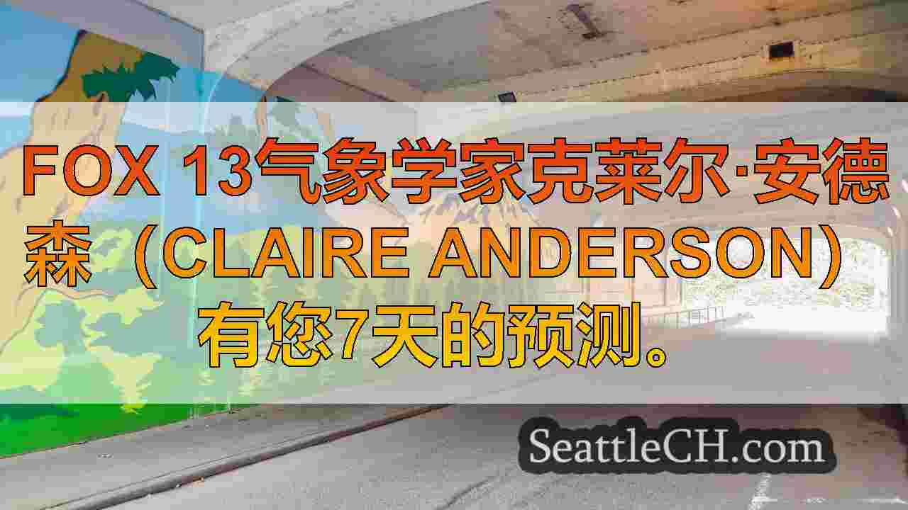 寒冷，有雾开始西雅图工作周，下午阳光星期一