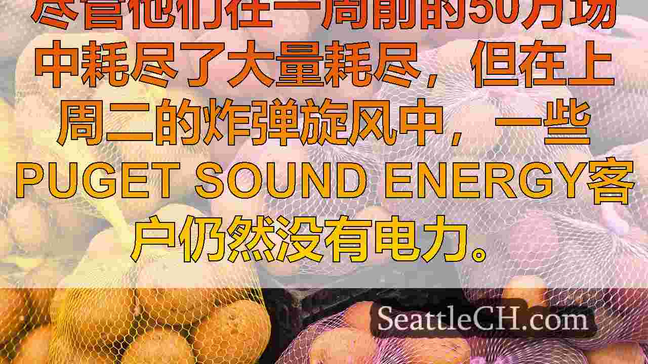 西雅图新闻 SeattleCH