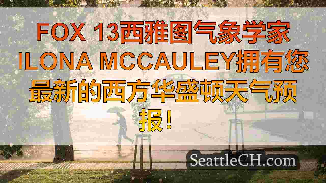西雅图新闻 SeattleCH