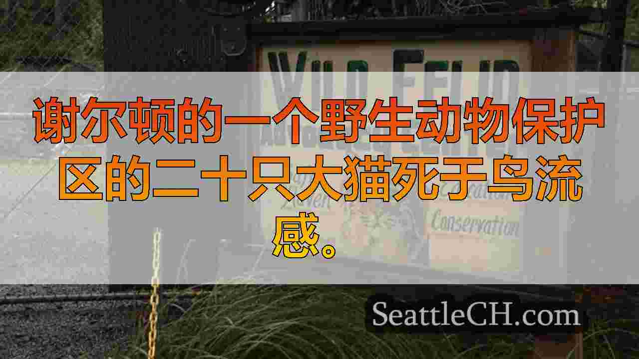 鸟流感在谢尔顿避难所杀死20只大猫，毁灭性的保护工作
