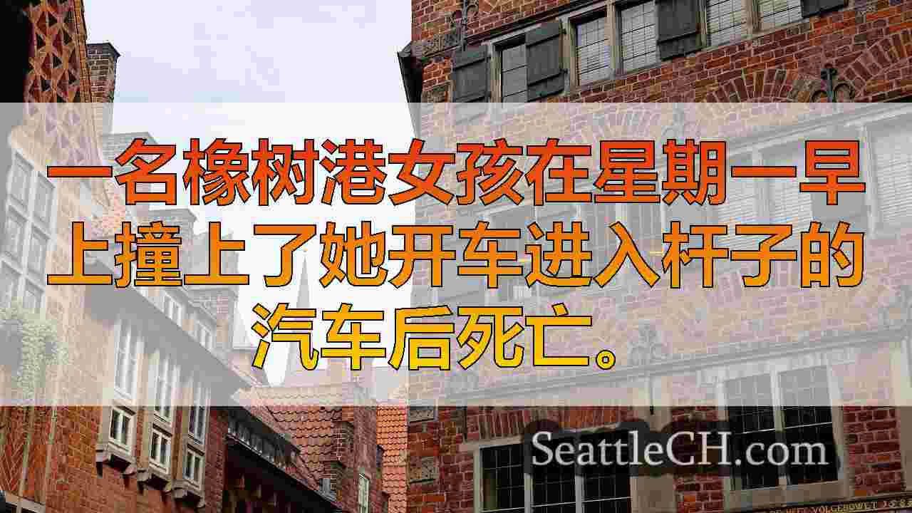 西雅图新闻 SeattleCH