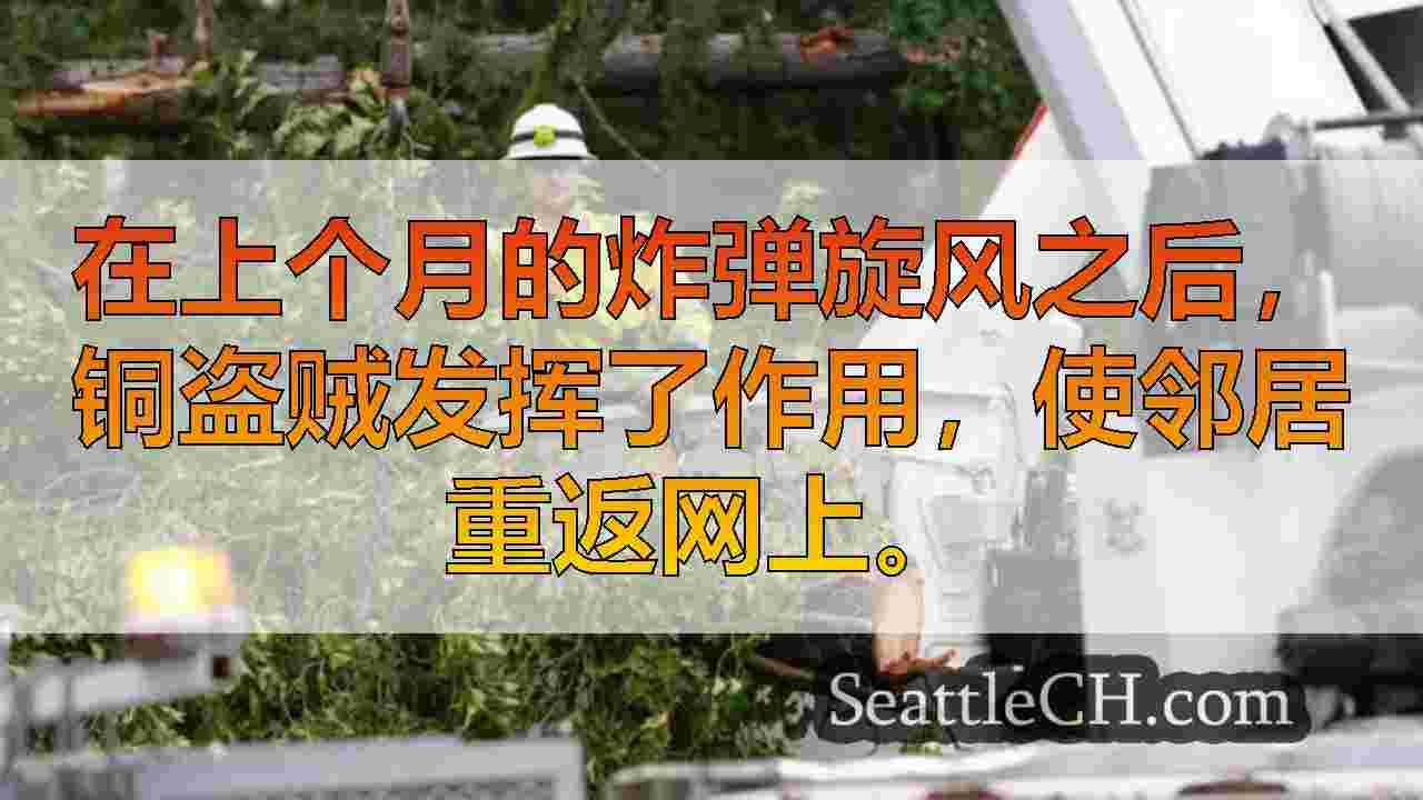 铜盗窃部分要归咎于炸弹旋风后慢速维修