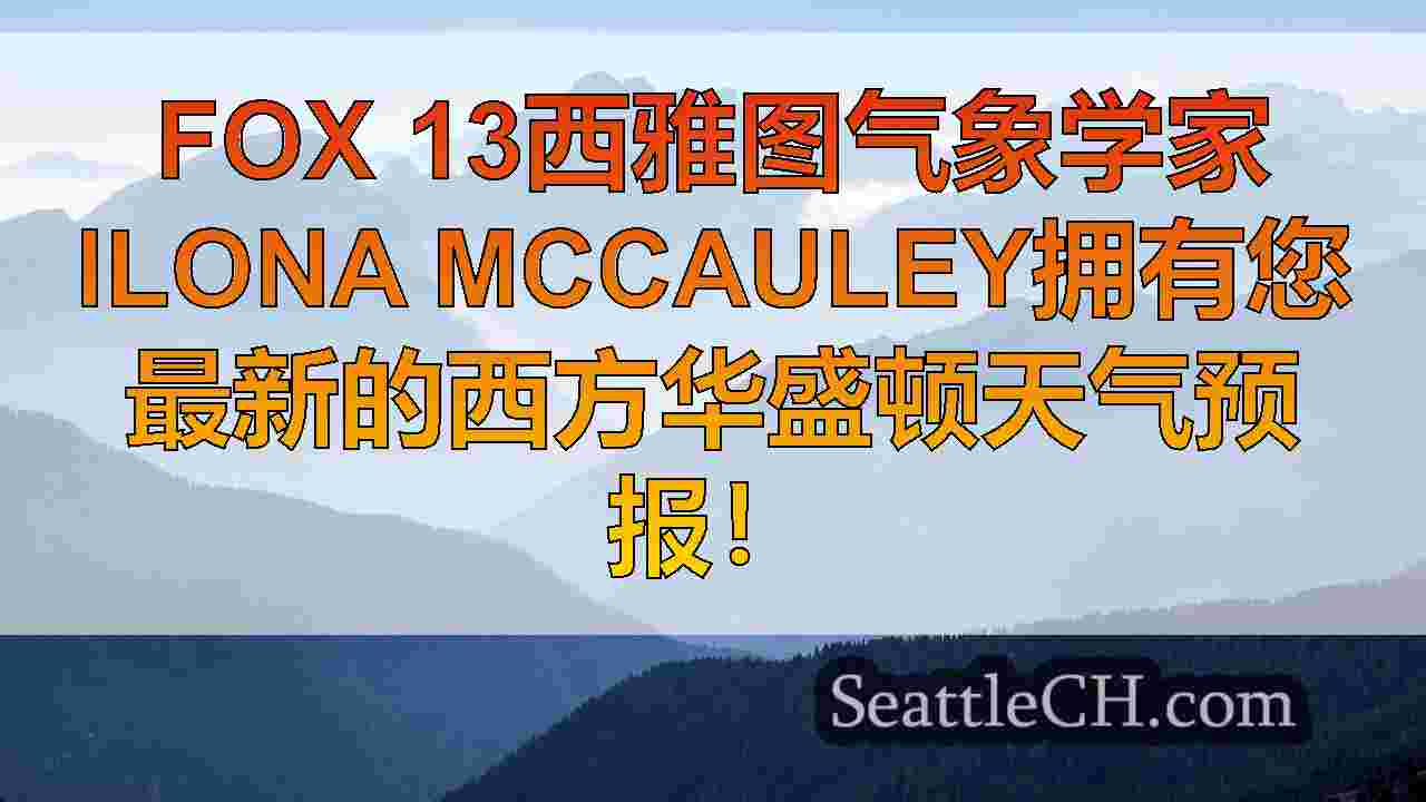 西雅图新闻 SeattleCH
