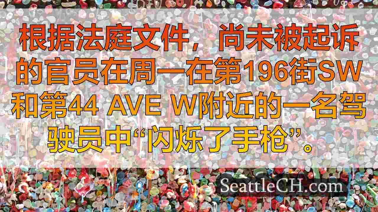 西雅图新闻 SeattleCH