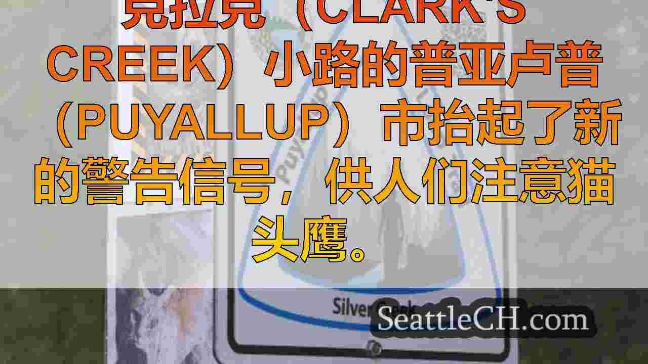 西雅图新闻 SeattleCH