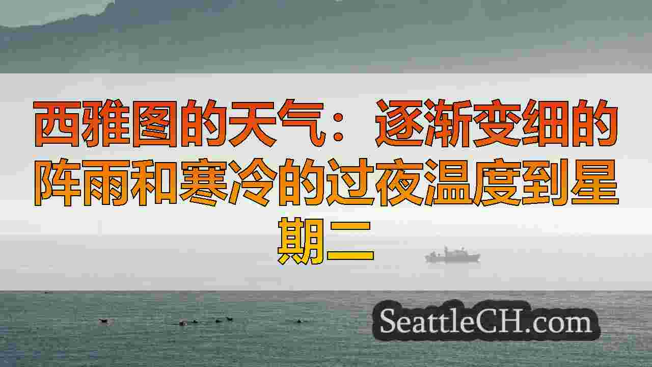 西雅图的天气：周二清空的天空和寒冷的温度