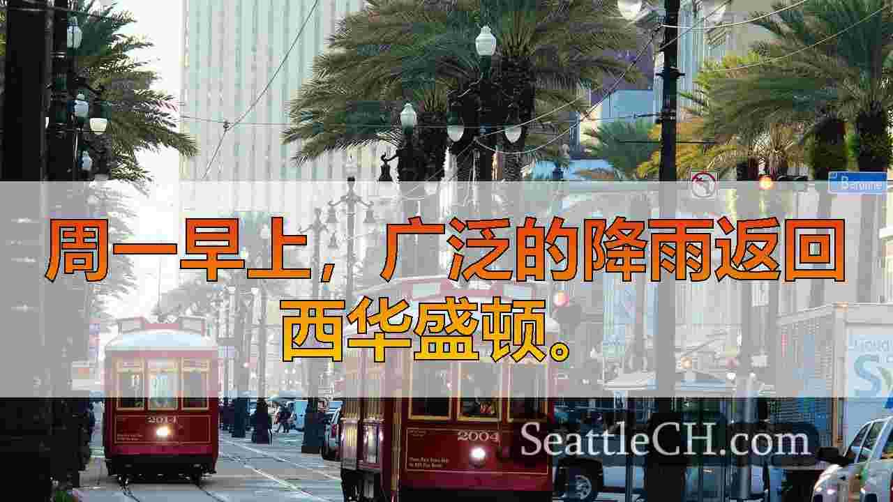 西雅图新闻 SeattleCH