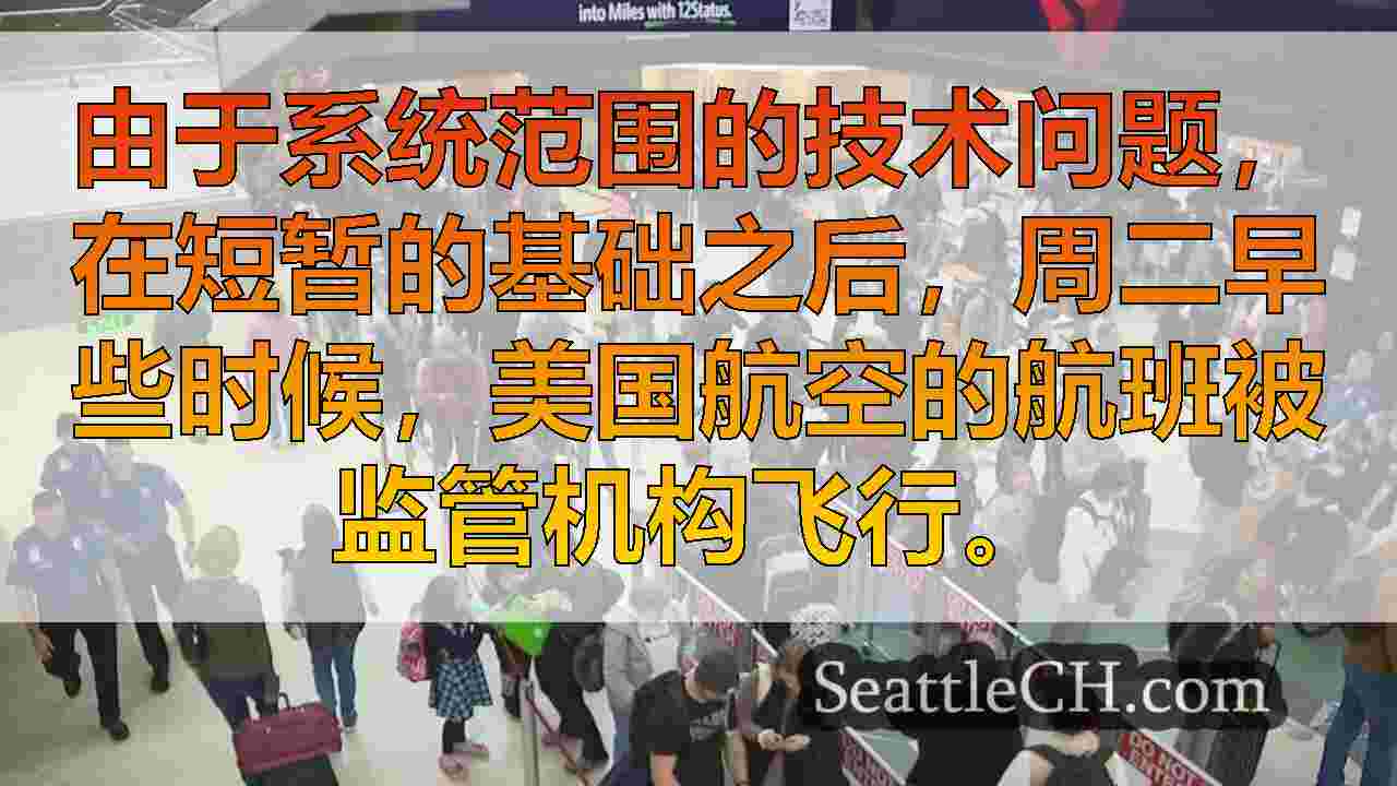 在技​​术问题扎根美国航班后，美国航空再次运行