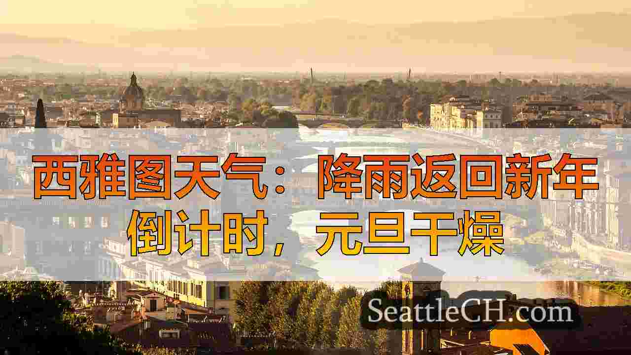 西雅图新闻 SeattleCH