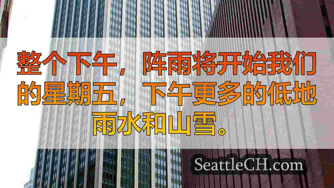 西雅图新闻 SeattleCH