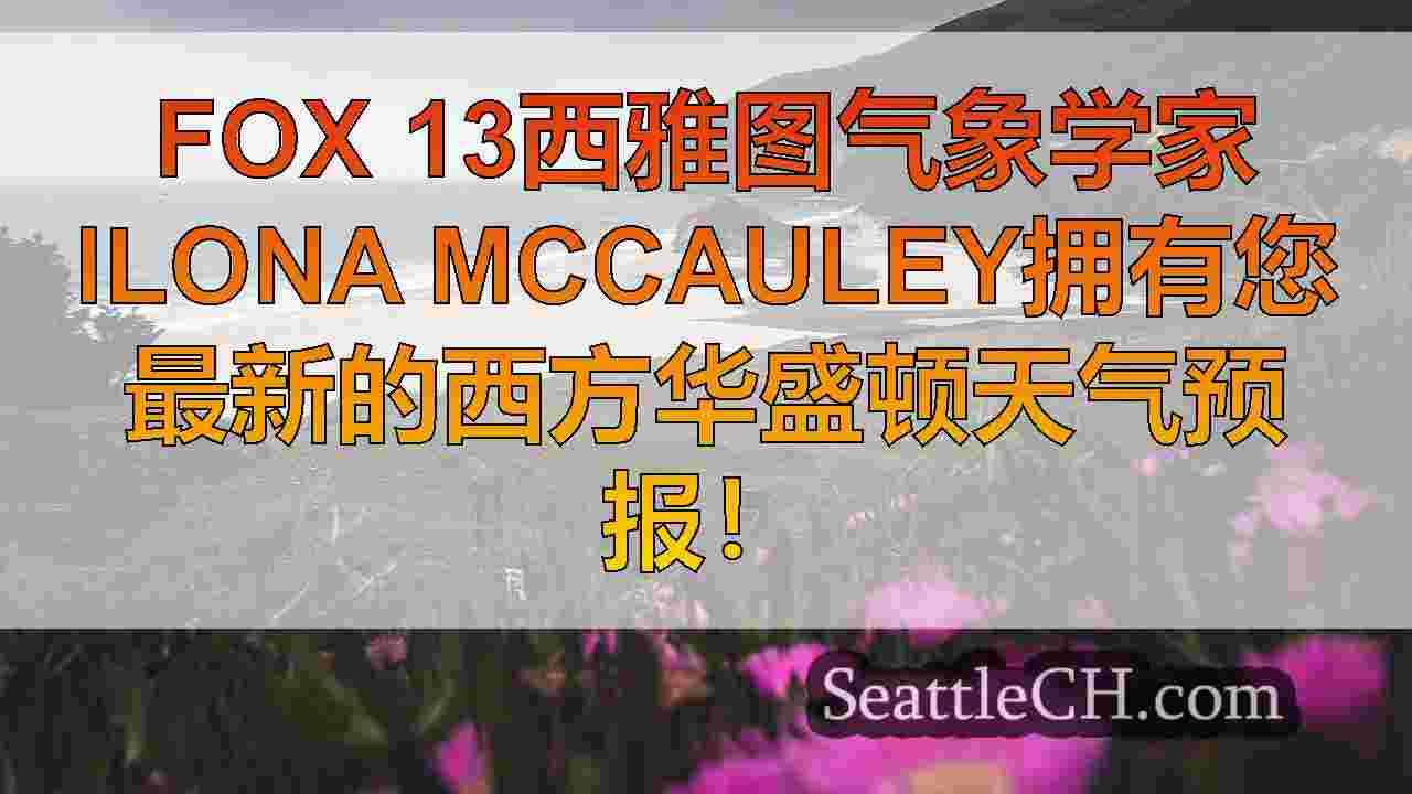 西雅图新闻 SeattleCH