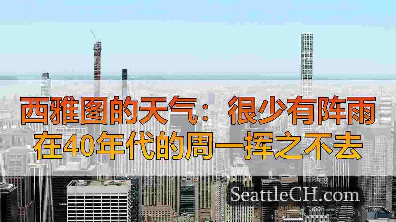 西雅图新闻 SeattleCH