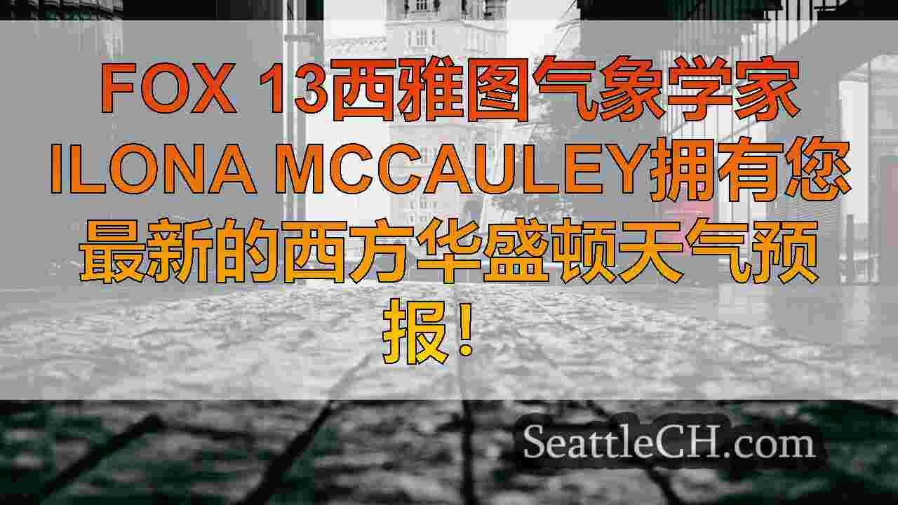 西雅图新闻 SeattleCH