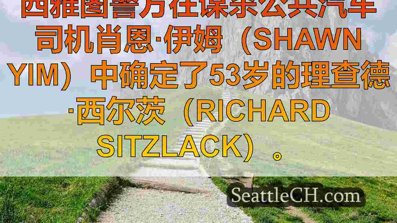 嫌疑人因刺伤地铁司机的刺伤而被捕