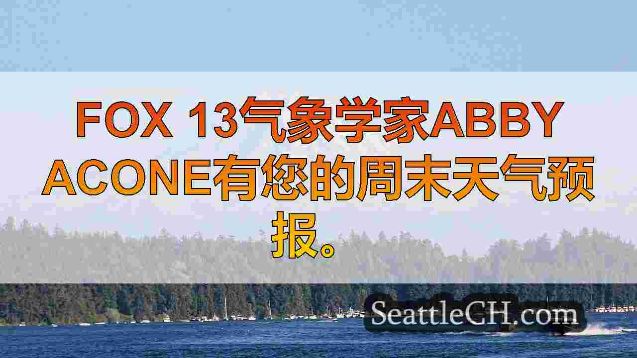 西雅图圣诞节周的灰色，潮湿和狂热的天气