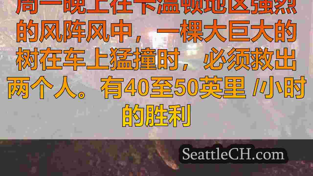 西雅图新闻 SeattleCH