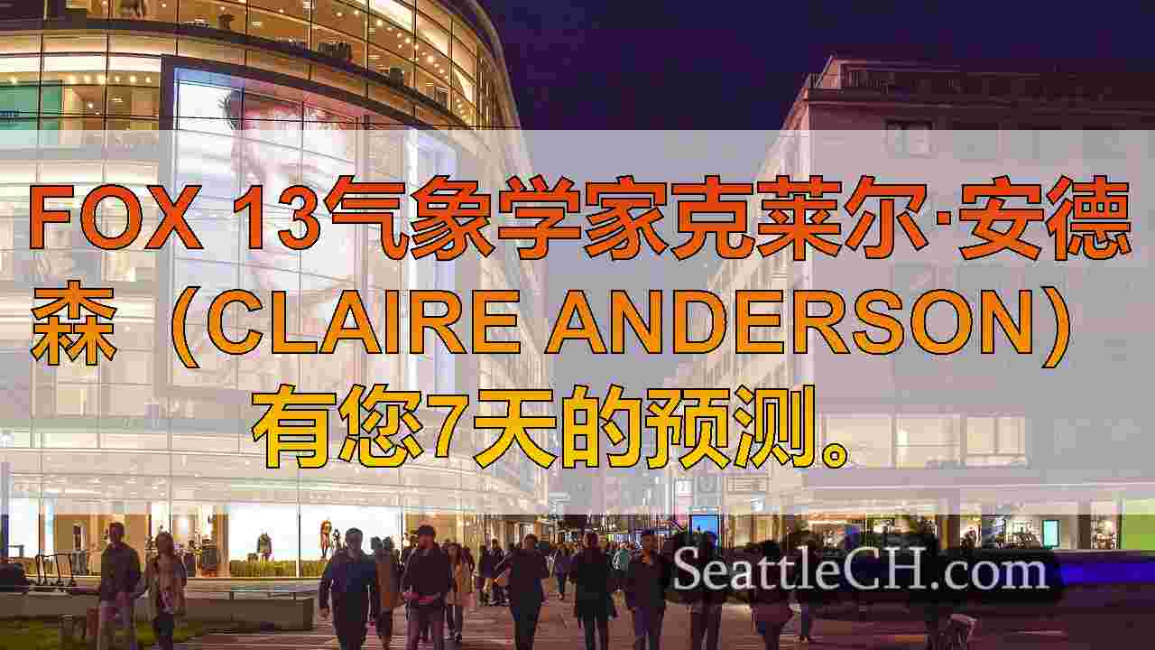 西雅图新闻 SeattleCH