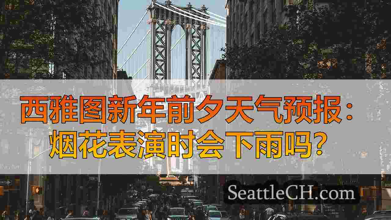 西雅图新闻 SeattleCH