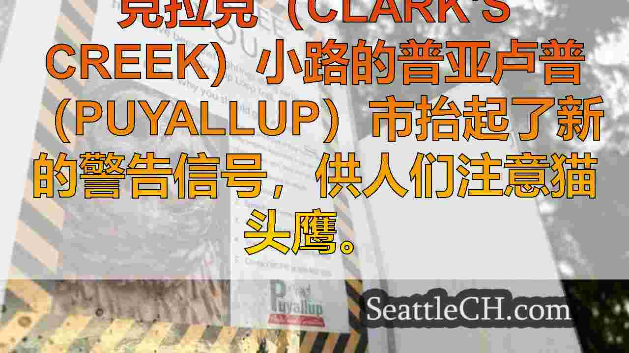 西雅图新闻 SeattleCH
