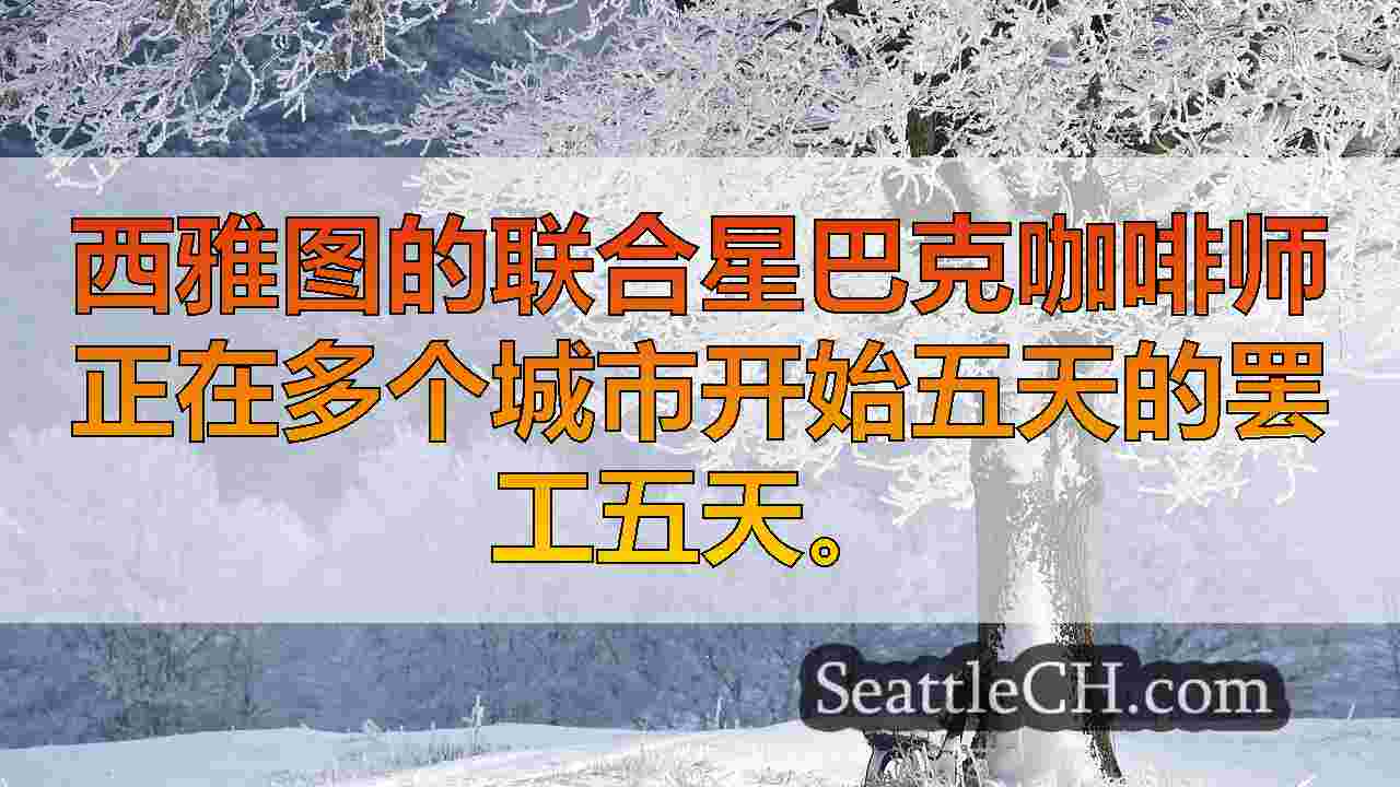 西雅图星巴克工人罢工