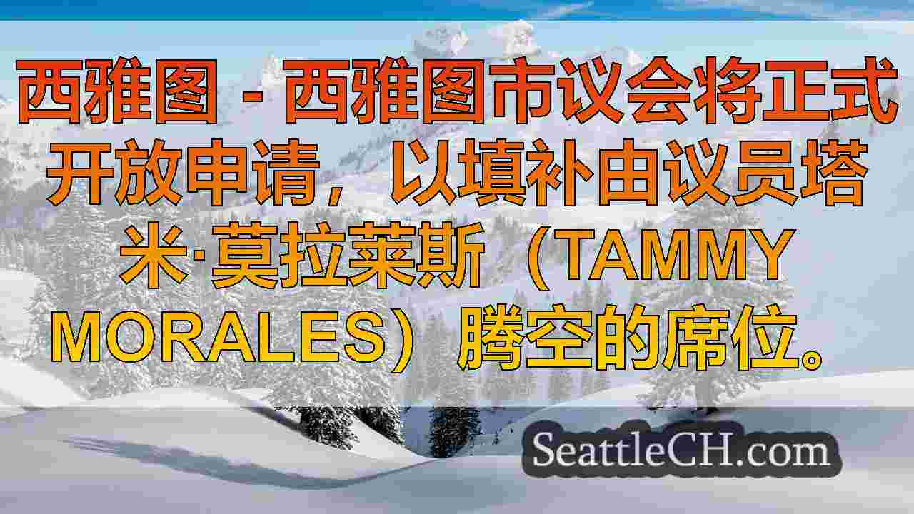 西雅图市议会开放空置2区席位的申请