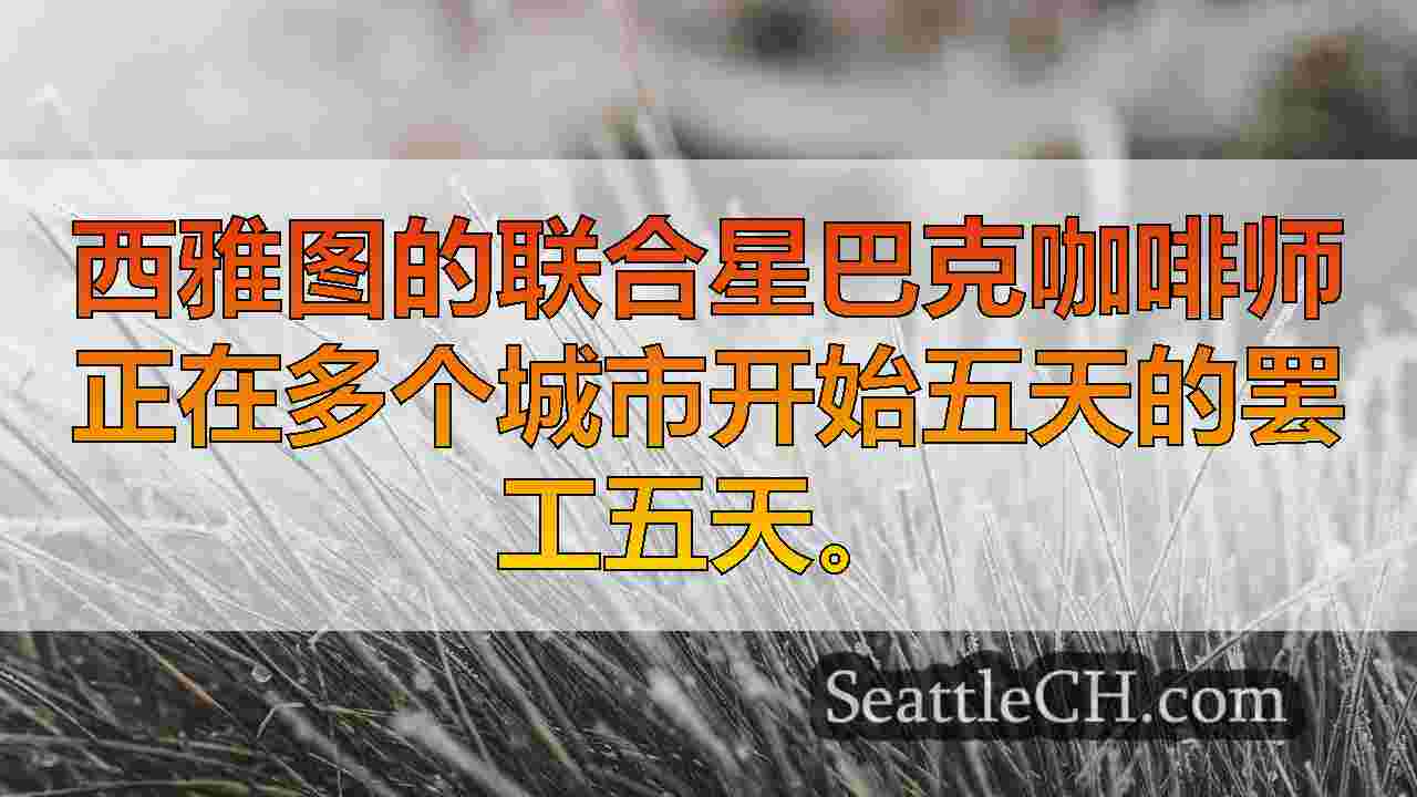 西雅图新闻 SeattleCH