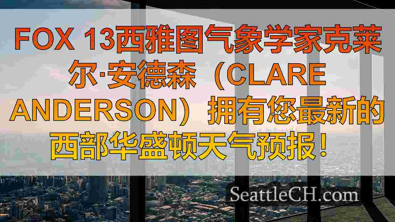 西雅图新闻 SeattleCH