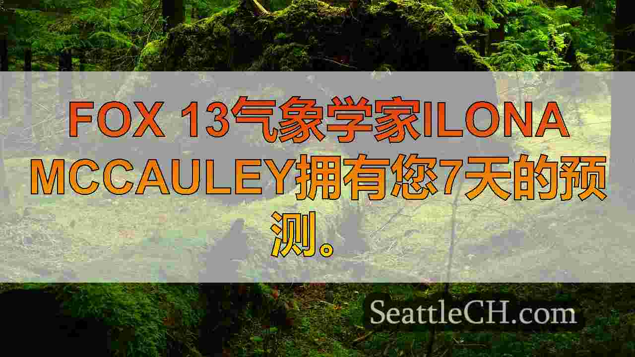 西雅图新闻 SeattleCH