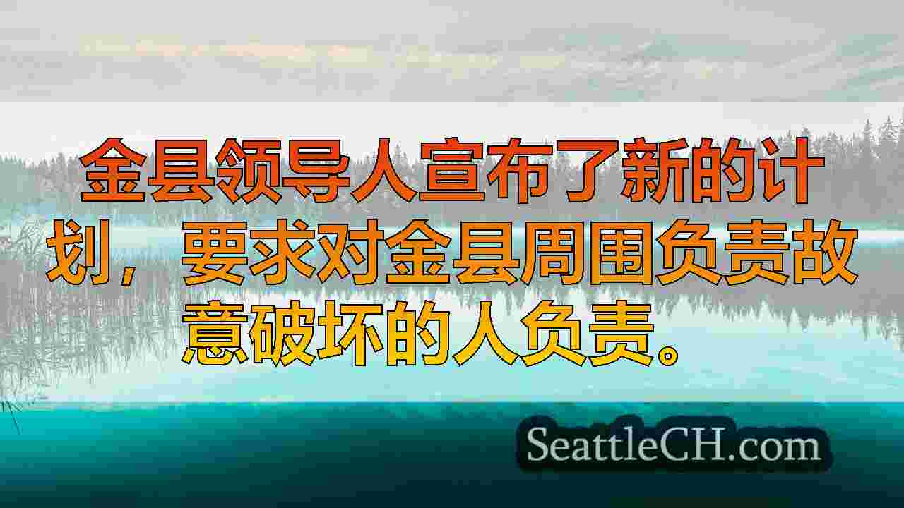 西雅图新闻 SeattleCH