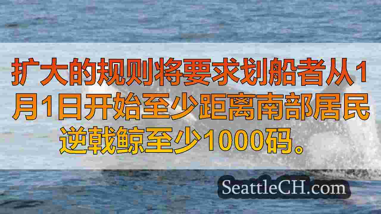 西雅图新闻 SeattleCH