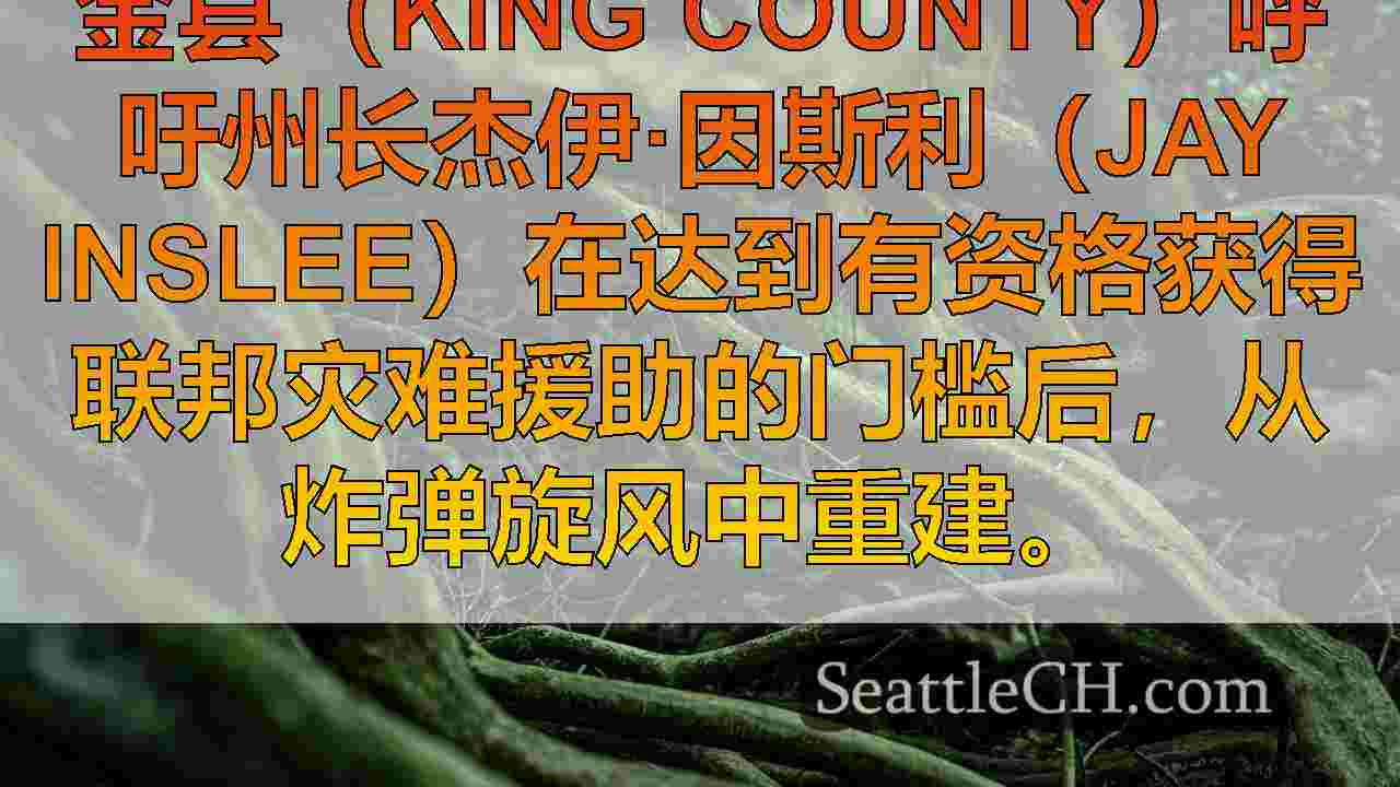 西雅图新闻 SeattleCH