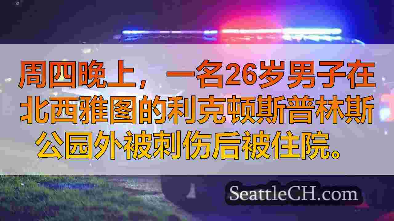 男子在利克顿斯普林斯公园附近的刺伤中受到重伤，怀疑仍然很大