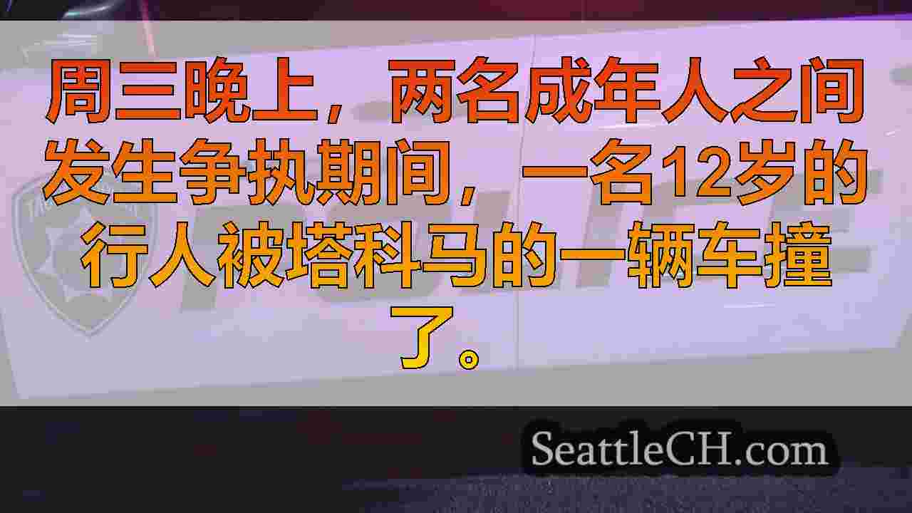 12岁的成年人在塔科马争吵中被车辆撞到后住院