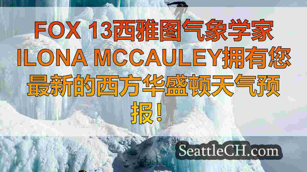 西雅图新闻 SeattleCH