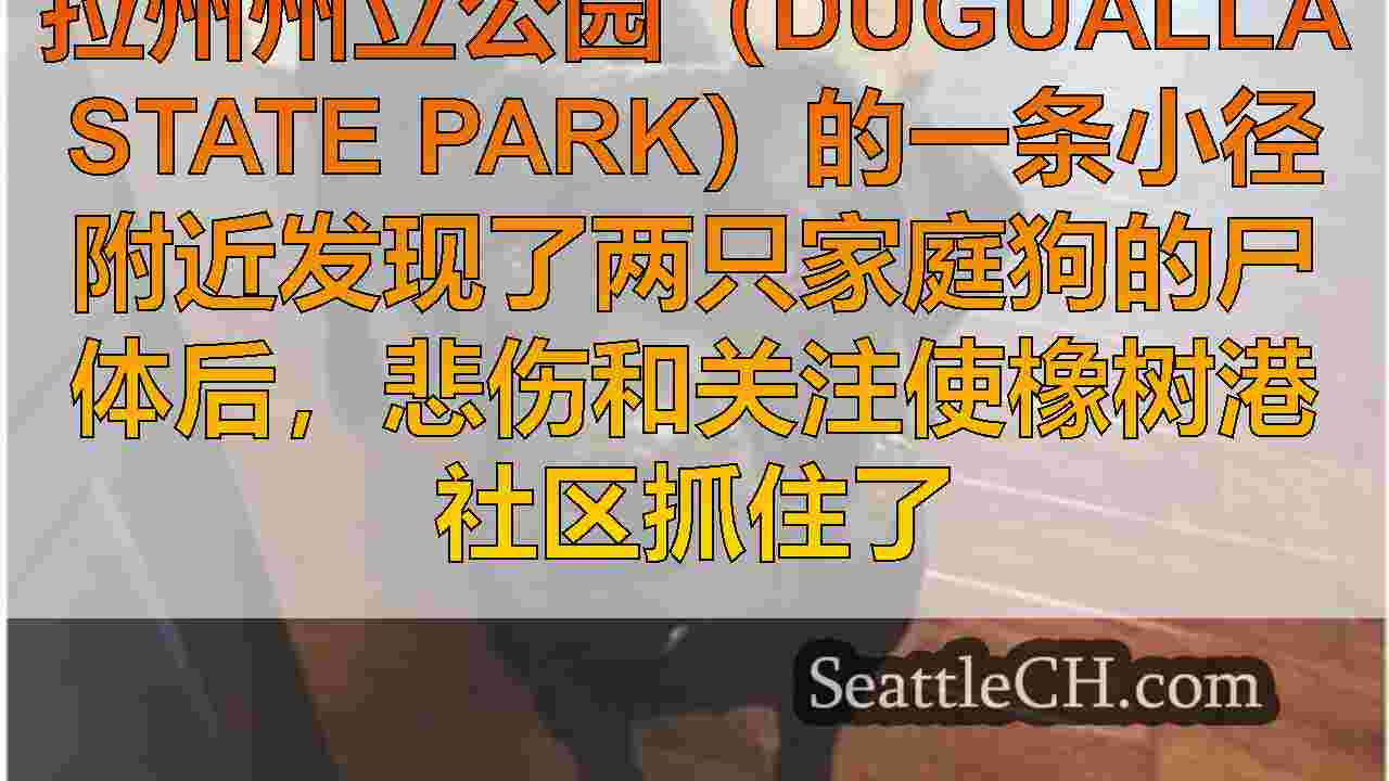 西雅图新闻 SeattleCH