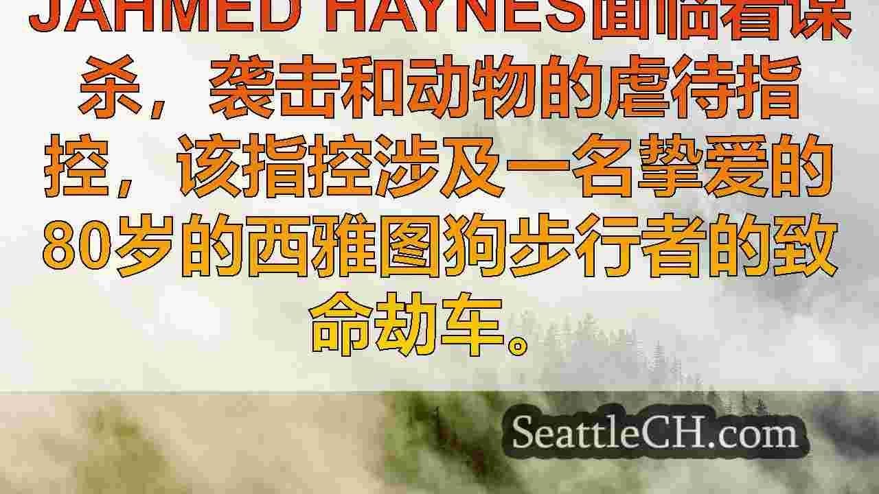 西雅图新闻 SeattleCH