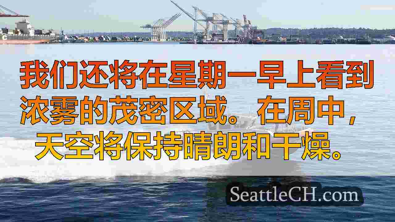 西雅图天气：有雾，凉爽的午后阳光