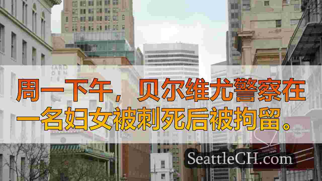 西雅图新闻 SeattleCH